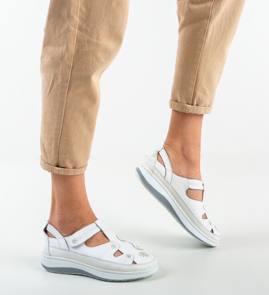 Pantofi Casual Lambert Albi