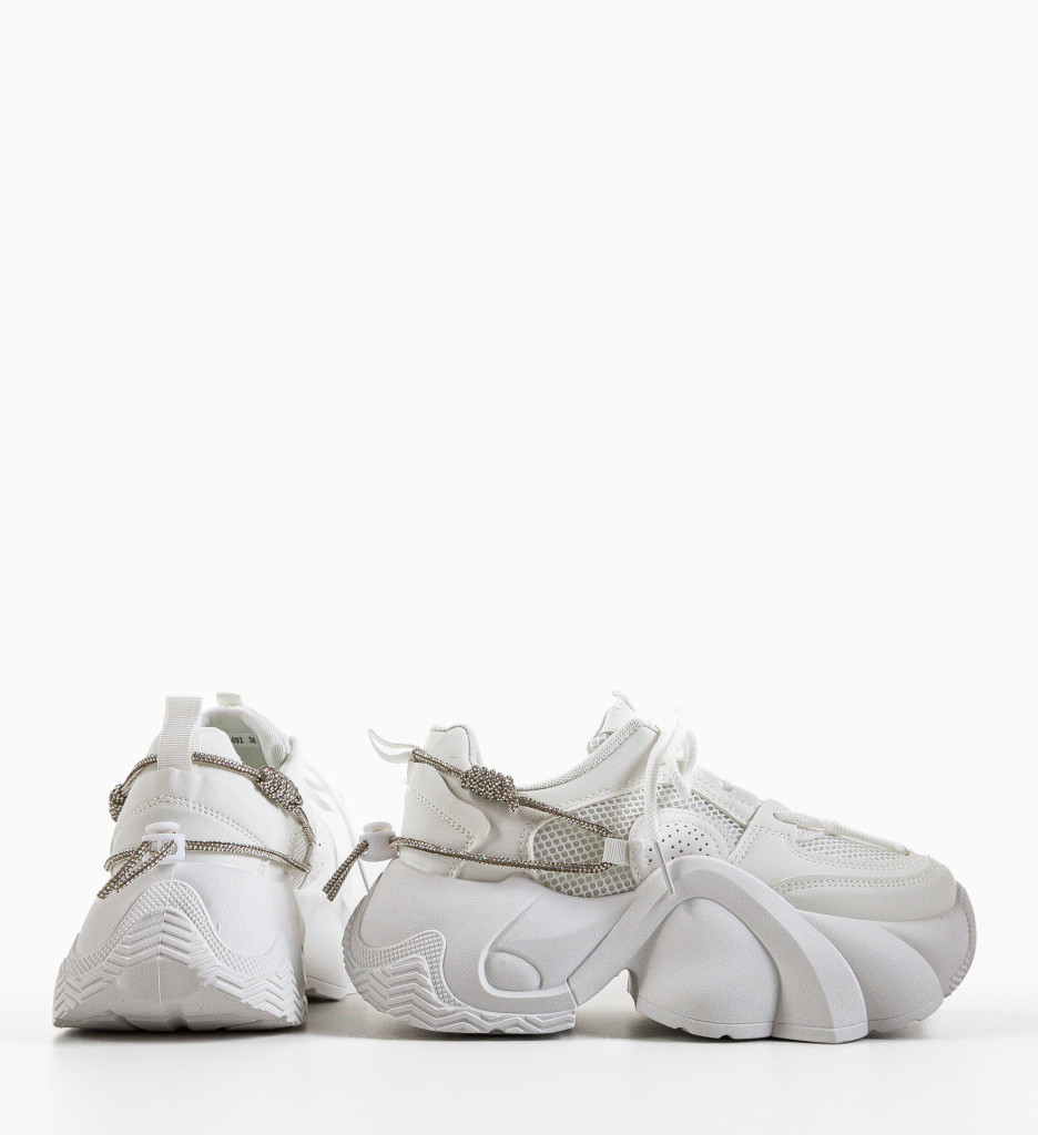 Poze Sneakers dama Dorkan Albi DePurtat