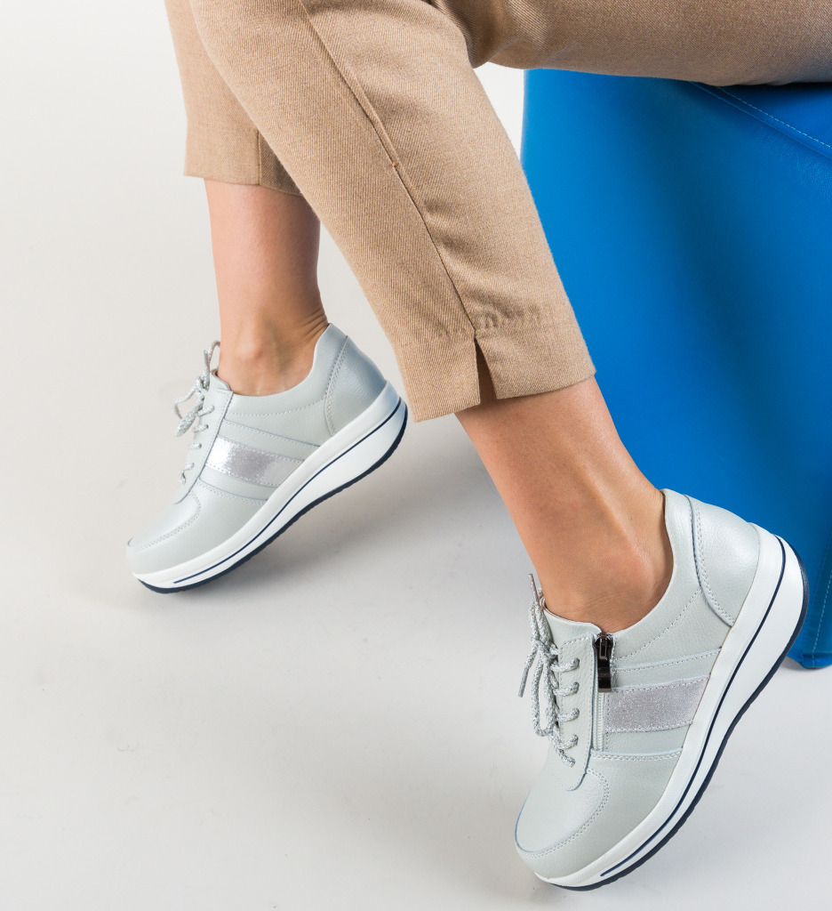 Pantofi Casual Craig Argintii