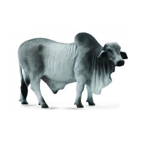 Figurina Taur Brahman L Collecta