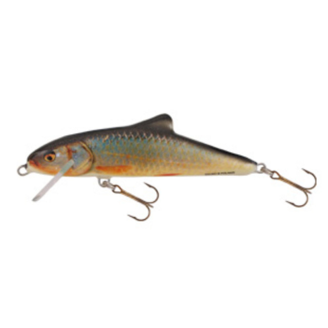 Vobler Salmo Skinner, culoare RR, 12cm, 19g