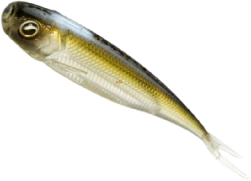 Shad Raid Roller Fish Skin, 8.9cm, The Bait, 7buc/plic