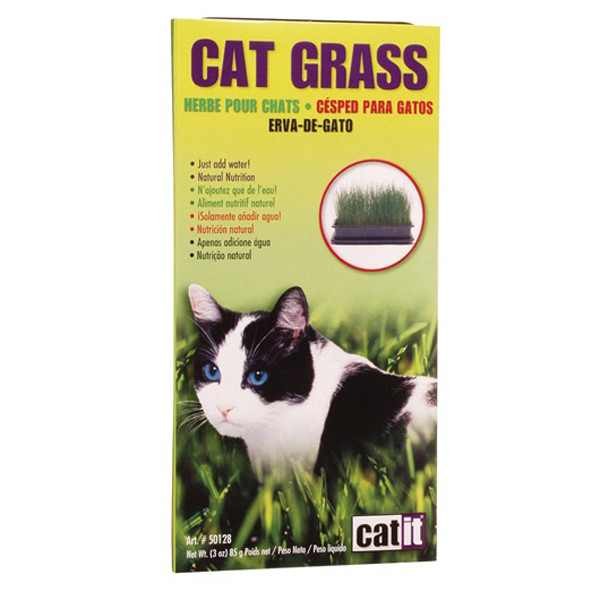 Cat Grass Hagen 85 g