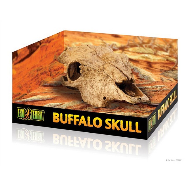 Decor terariu, Exo Terra, Buffalo Skull PT2857