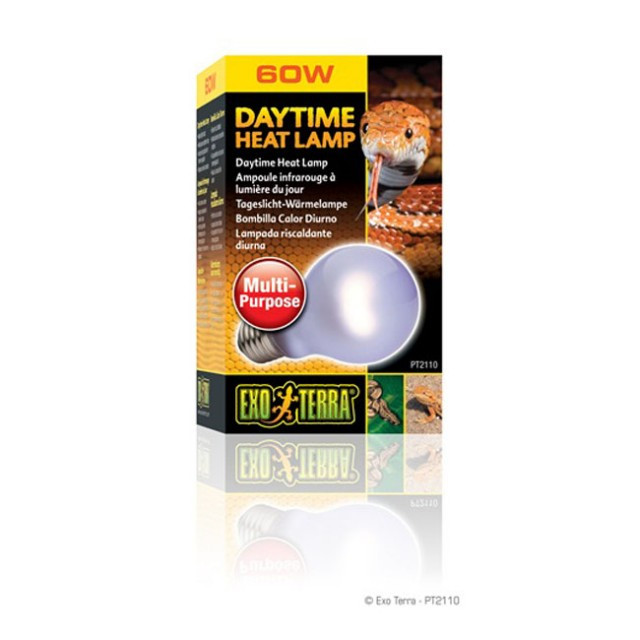 Bec pentru terariu, Exo Terra, Daytime Heat Lamp A19 / 60W, PT2110
