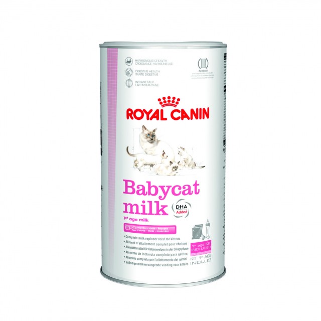 Hrana pentru pisici, Royal Canin Babycat Milk, 300g