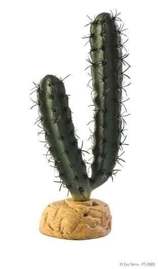 Plante terariu, Exo Terra, Desert Plant Finger Cactus