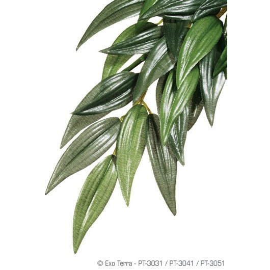 Plante terariu, Exo Terra, Silk Plant Ruscus Medium, PT3041