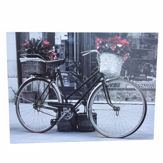Tablou decorativ pufo bicycle, 30 x 40 cm