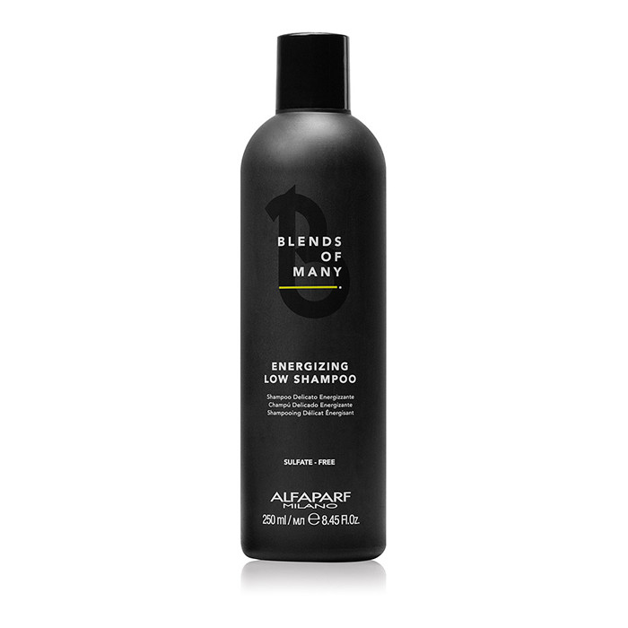 Alfaparf Sampon anticadere pentru barbati Blends Of Many Energizing Low 250ml