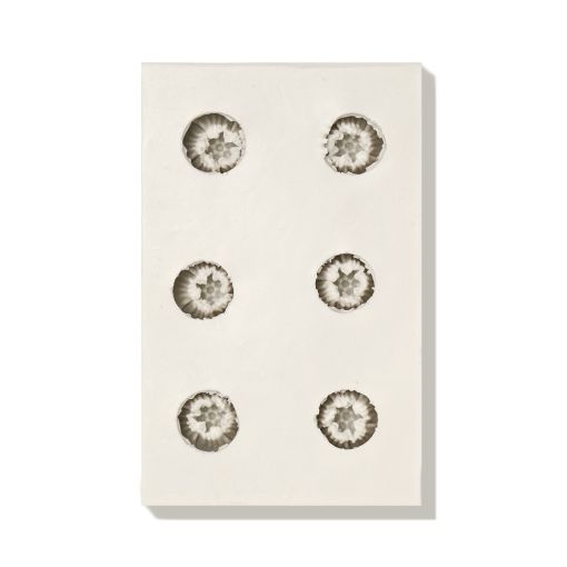 Pinx Mulaj din silicon pentru modele de unghii - My Little Flowers