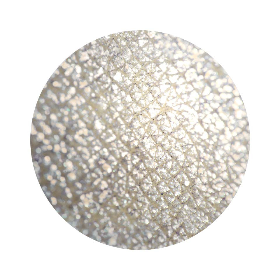 Pigment Machiaj Ochi #11 Pudaier – Glamorous Diamonds pensulemachiaj imagine noua