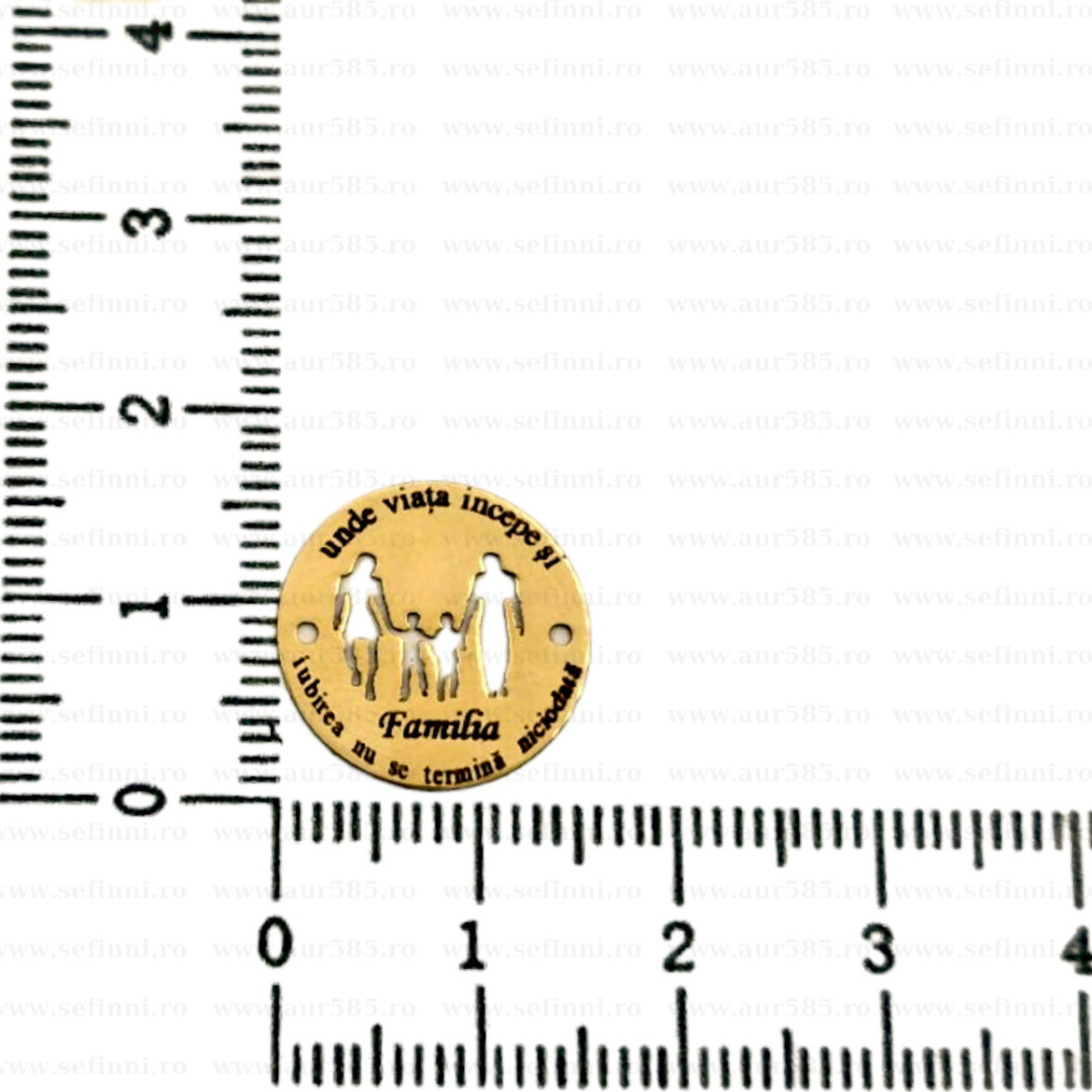 Link din aur 14k - pentru bratara - banut Familia : unde viata incepe si iubirea nu se termina niciodata (Configuratie: 1 copil - baiat)