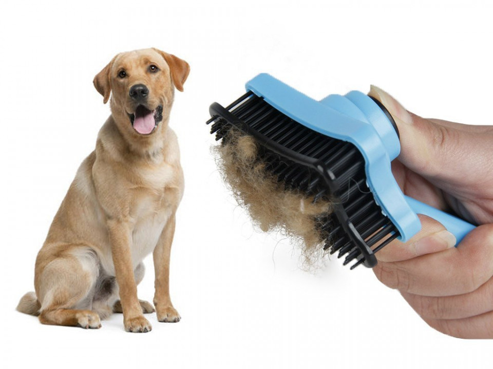 Perie pentru îngrijirea animalelor de companie, 13 cm.
