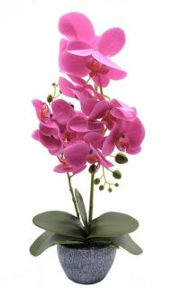 Poza Orhidee artificiala siliconata cu aspect 100% natural, in bol de plastic gri 45 cm