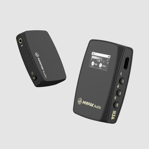 Sistem de microfon wireless cu 2 canale Mirfak WE10