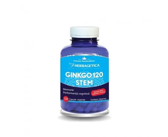 Ginkgo 120 Stem, 120 capsule, Herbagetica