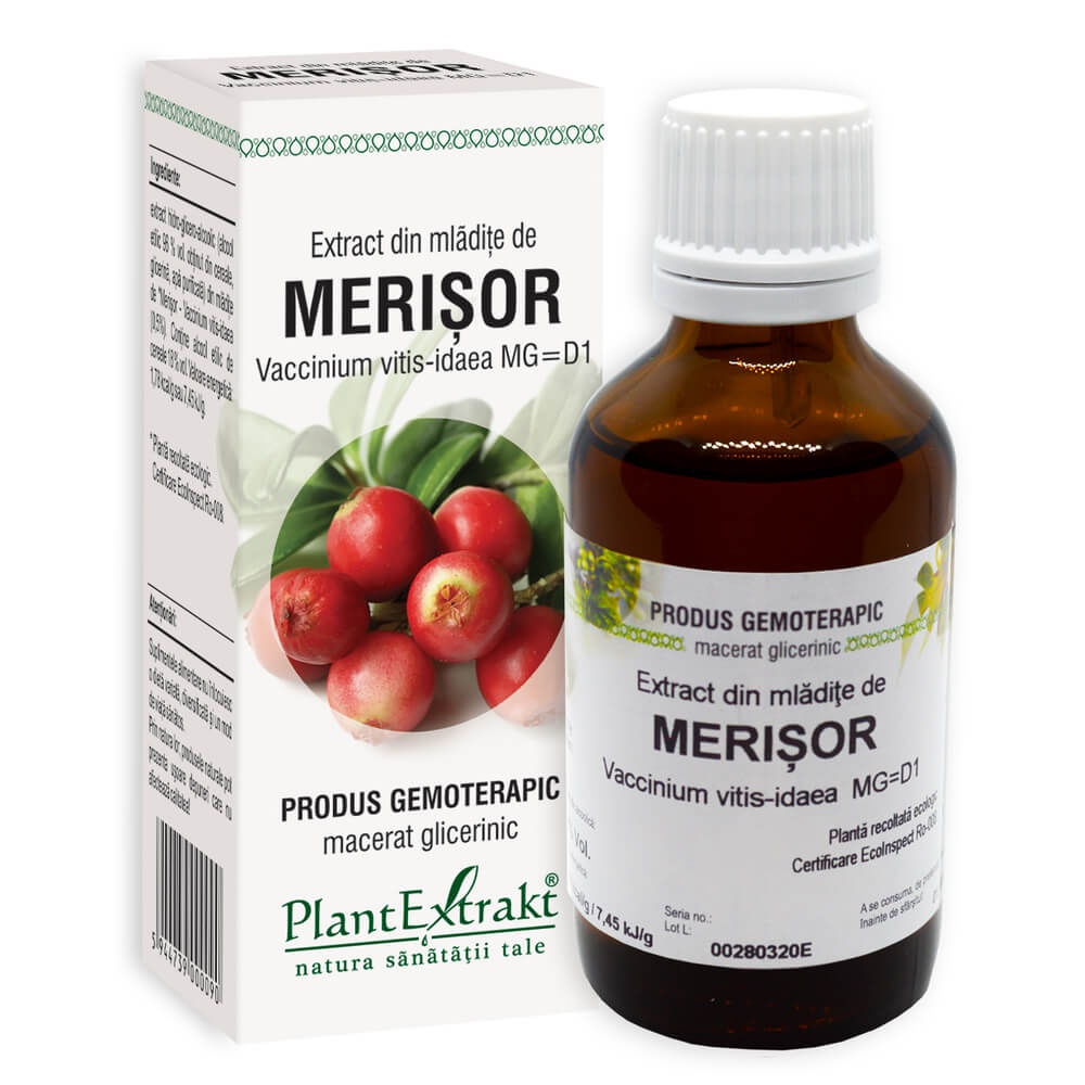 Extract din mladite de Merisor, 50ml, PlantExtrakt