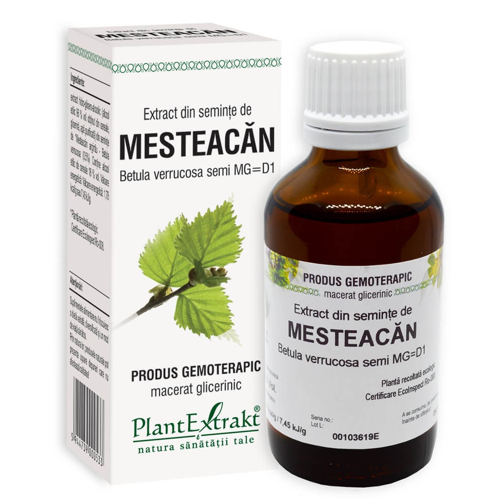 Extract din muguri de Mesteacan, 50ml, PlantExtrakt