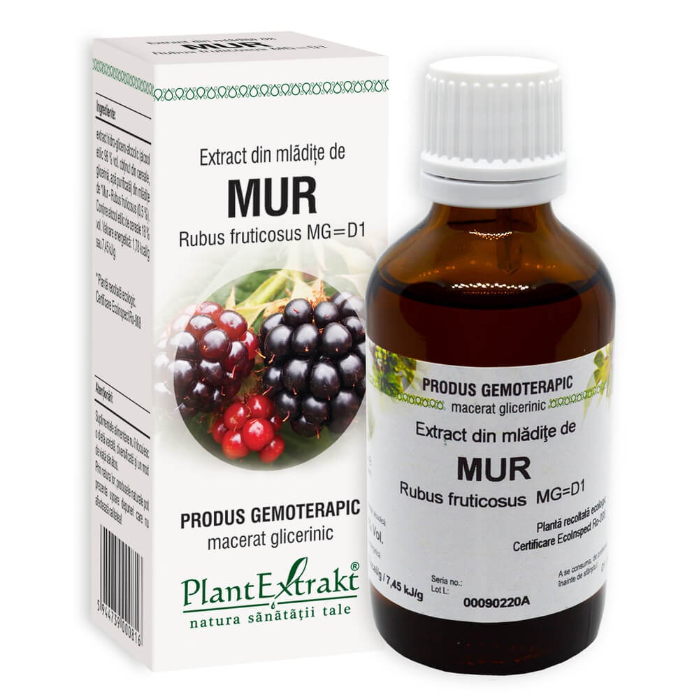 Extract din mladite de mur, 50ml, PlantExtrakt