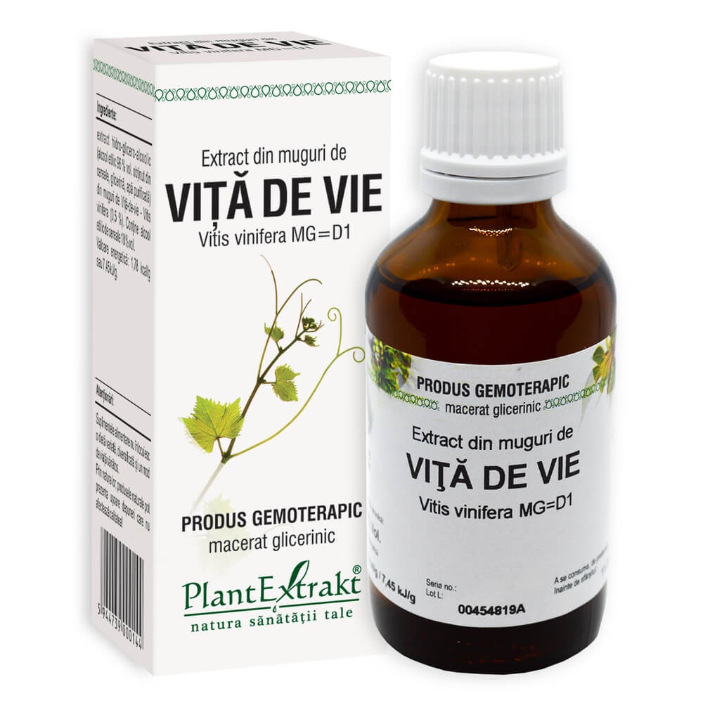 Extract din muguri de Vita de Vie, 50ml, PlantExtrakt