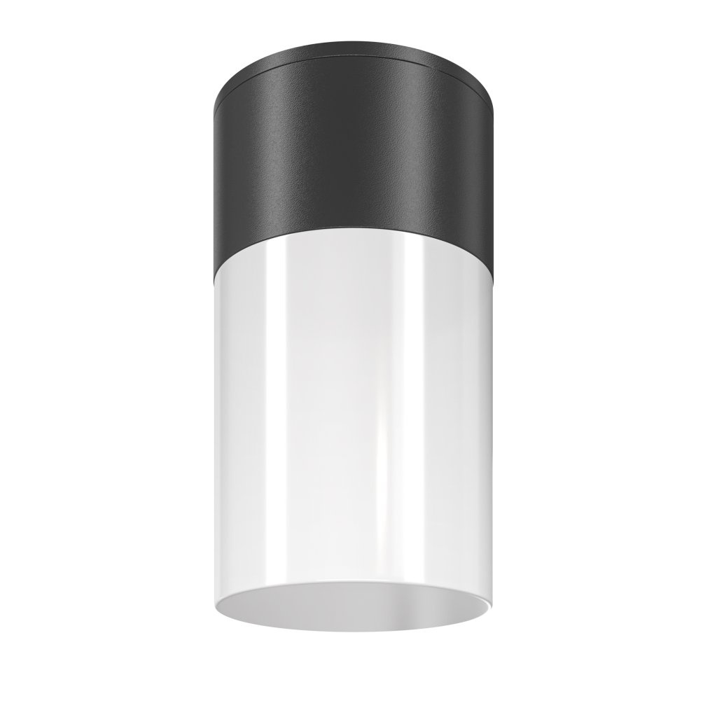 Spot aplicat, plafoniera pentru iluminat exterior IP54 Willis negru