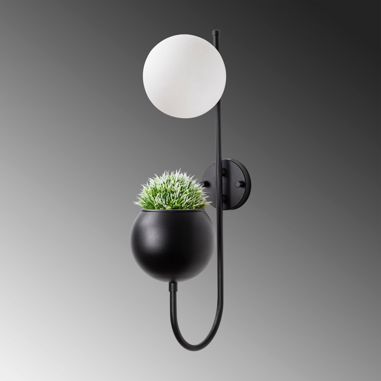 Poze Aplica Pot - 11475