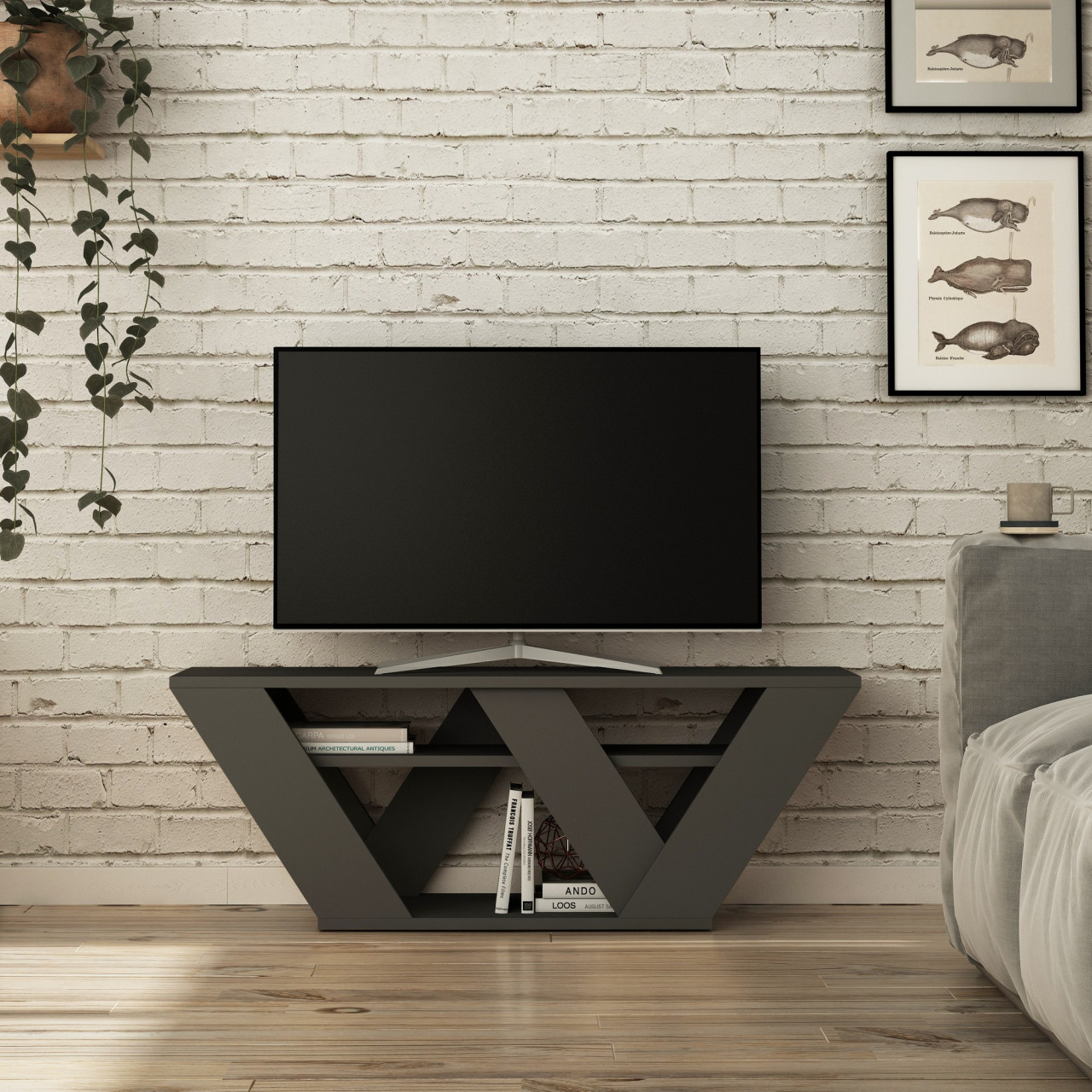 Poze Comoda TV Pipralla antracit
