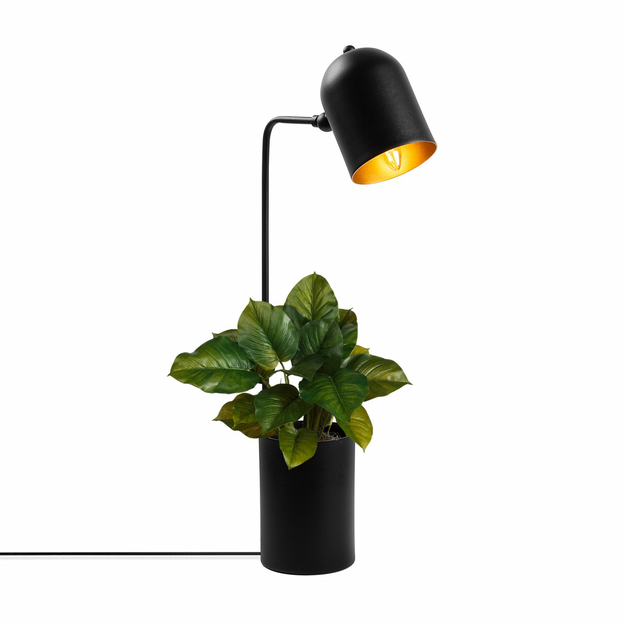 Poze Veioza Pot - 11491