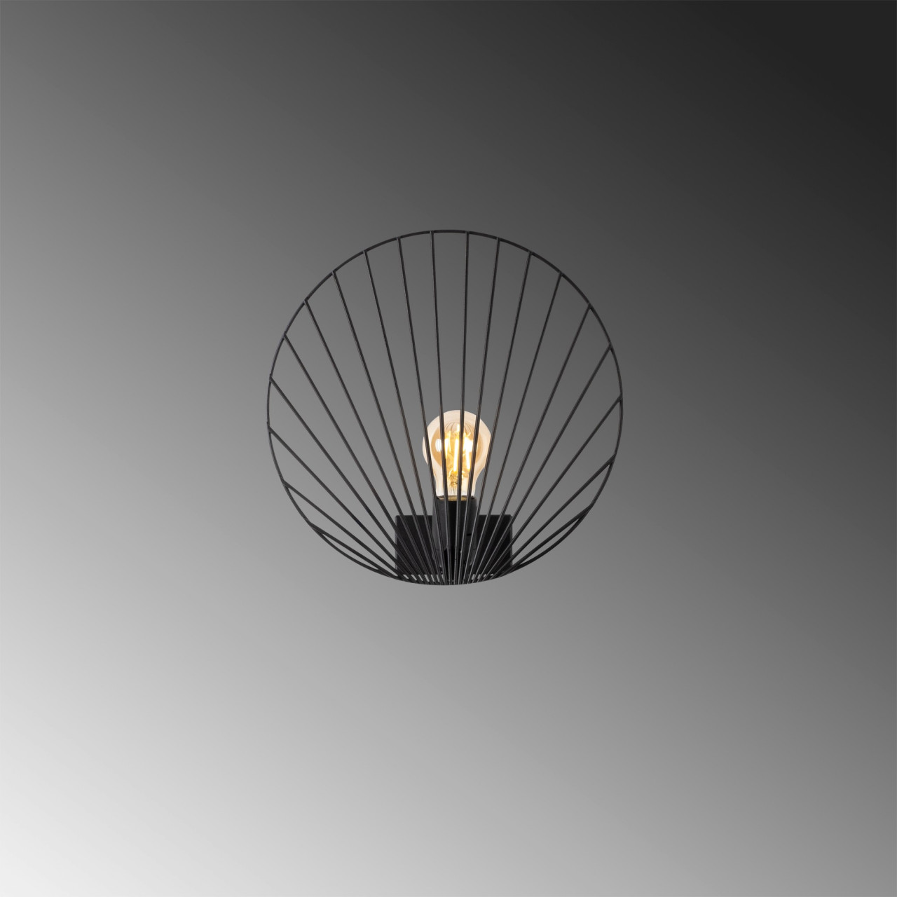 Poze Aplica Byisoo - 3291