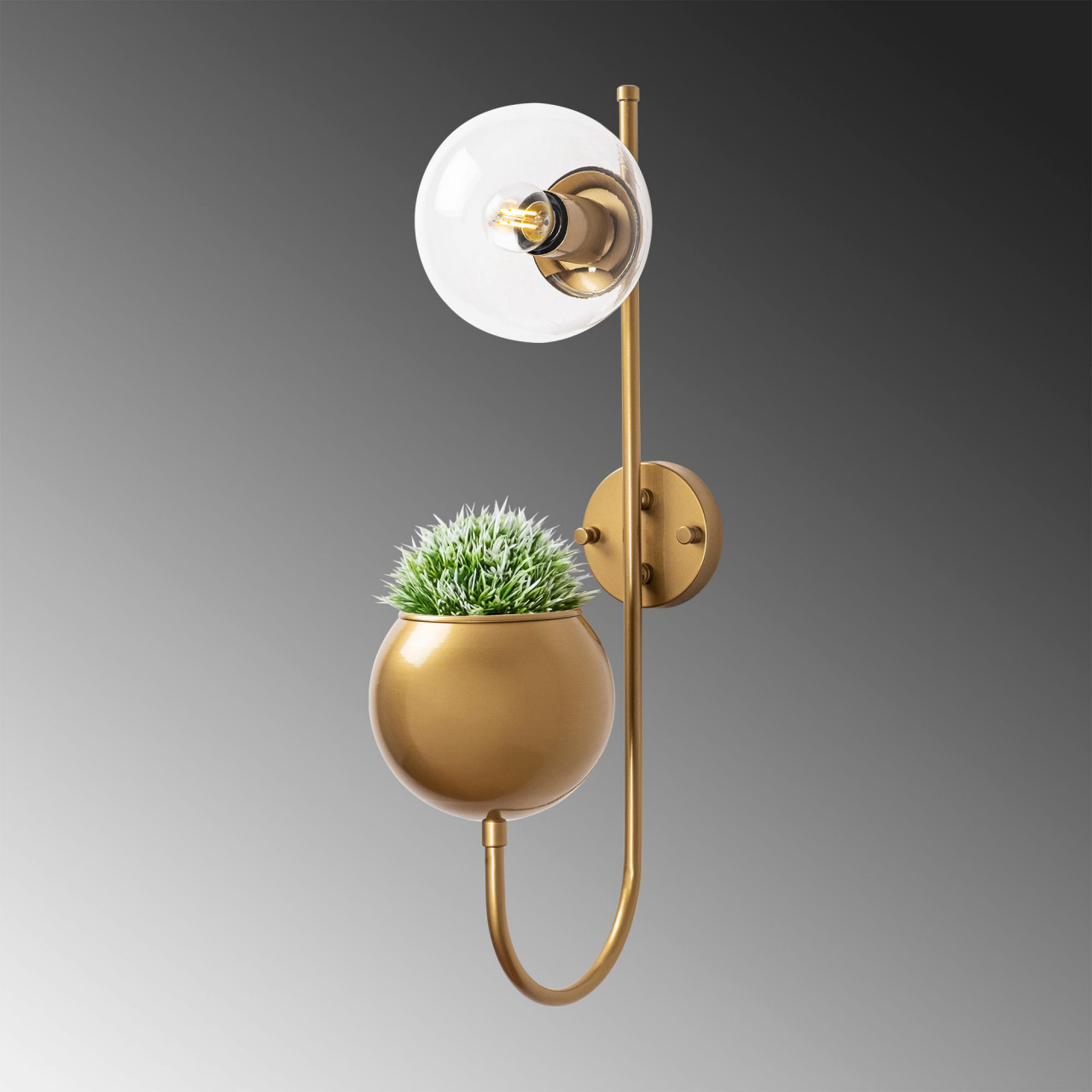 Poze Aplica Pot - 11480