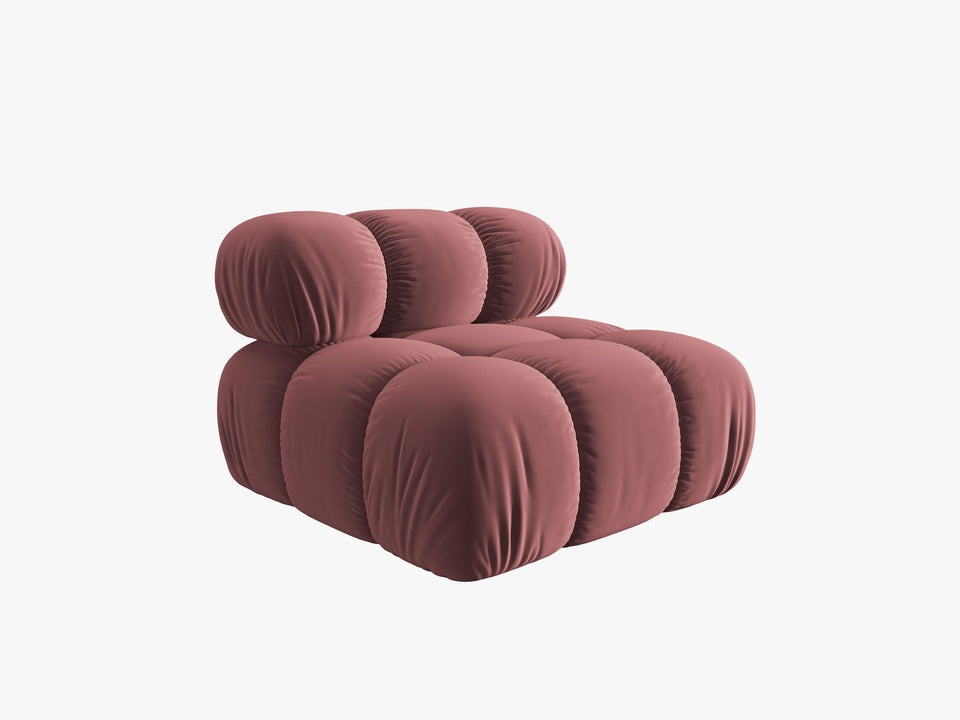 Poze Modul 1 loc Bellis catifea L94