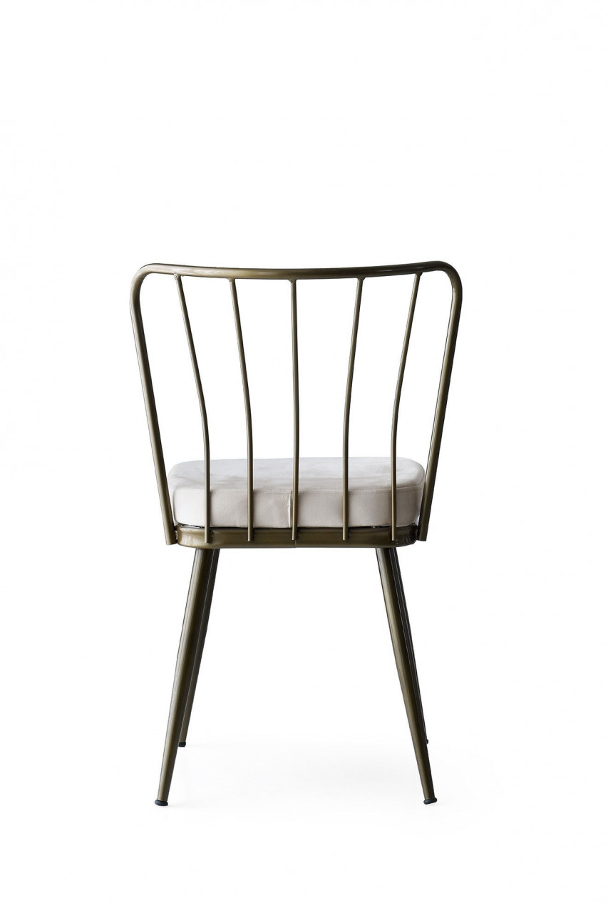 Poze Set scaune (2 bucati) Yıldız - 985 V2