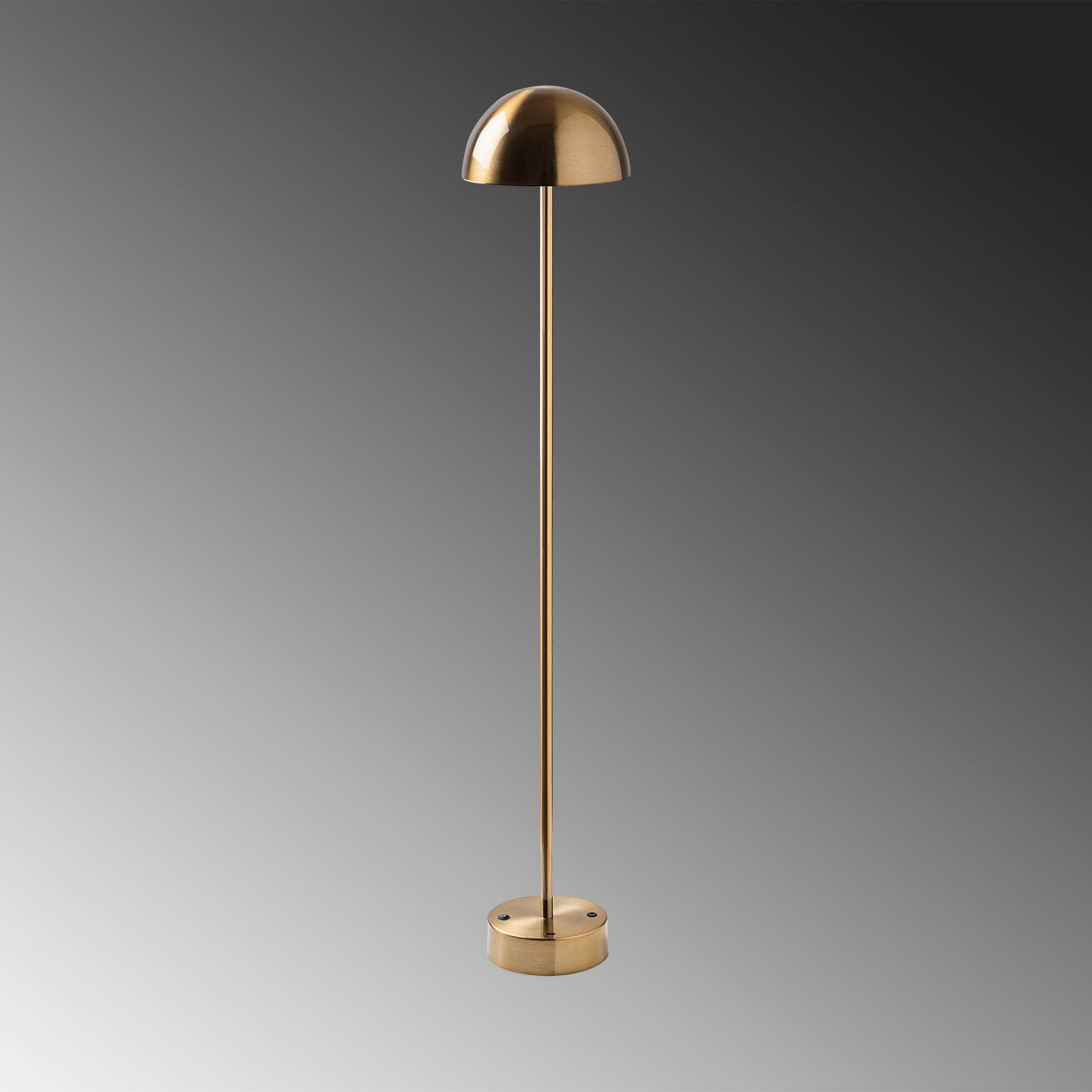 Poze Lampadar Sept - 13381