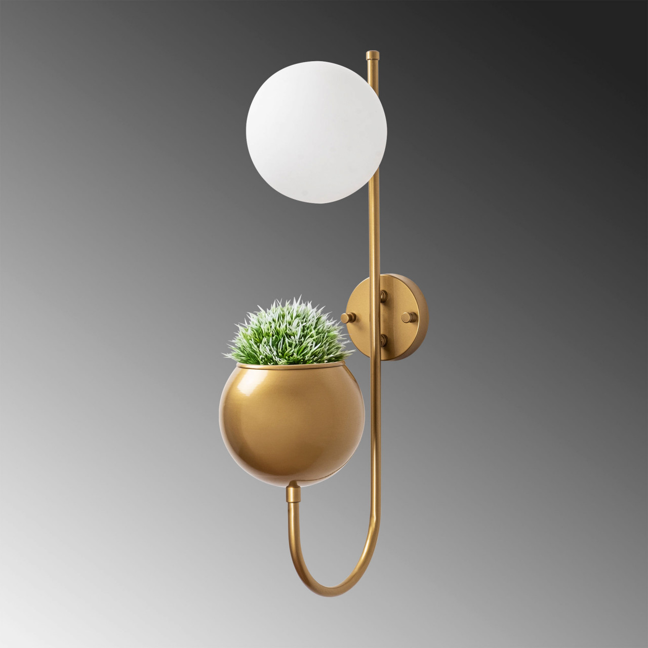 Poze Aplica Pot - 11485