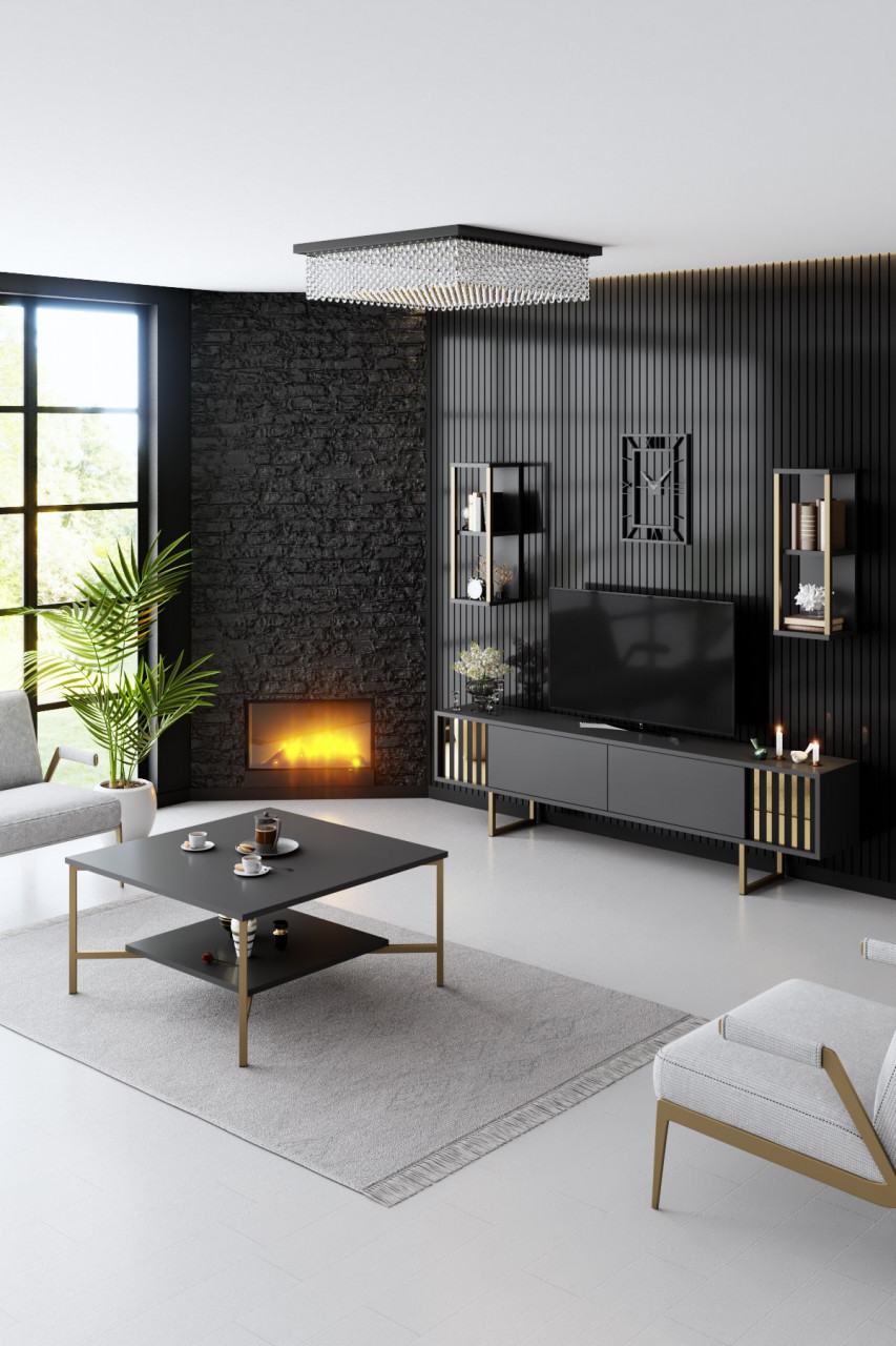 Poze Comoda TV Gold Line antracit/negru