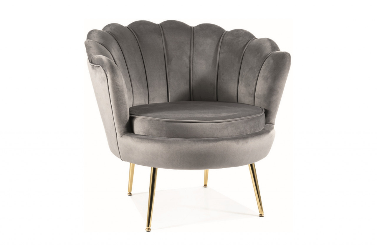 Poze Fotoliu Camellia 1 velvet gri Blu14/auriu