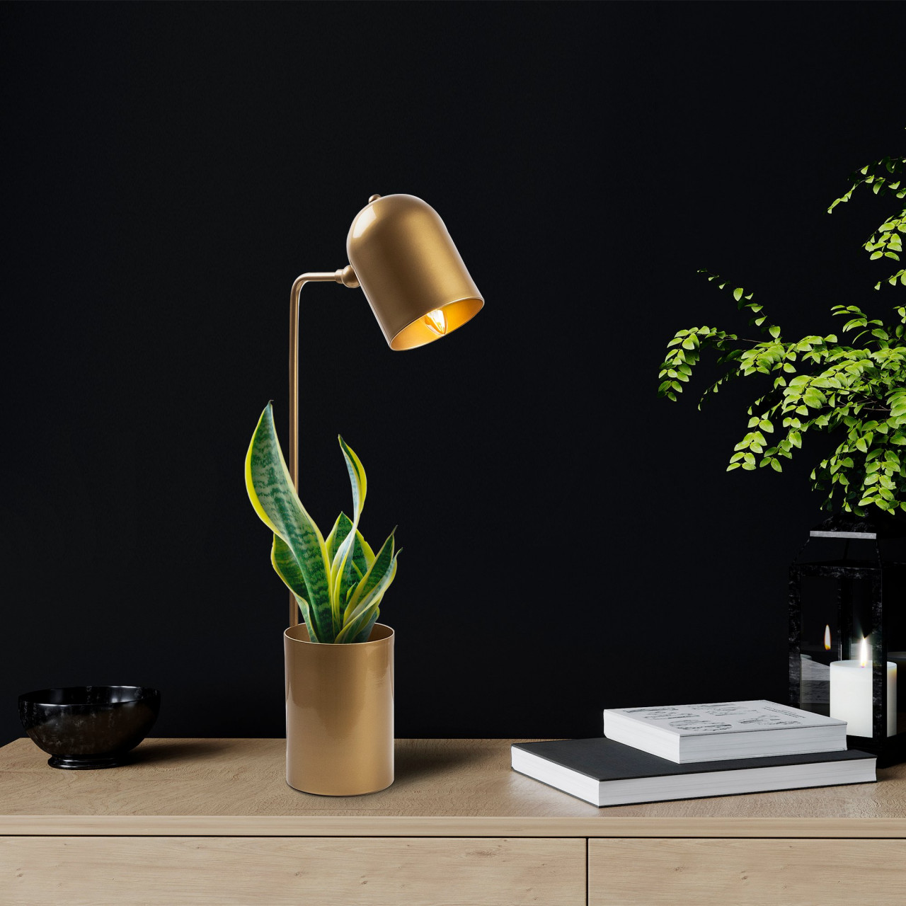 Poze Veioza Pot - 11490