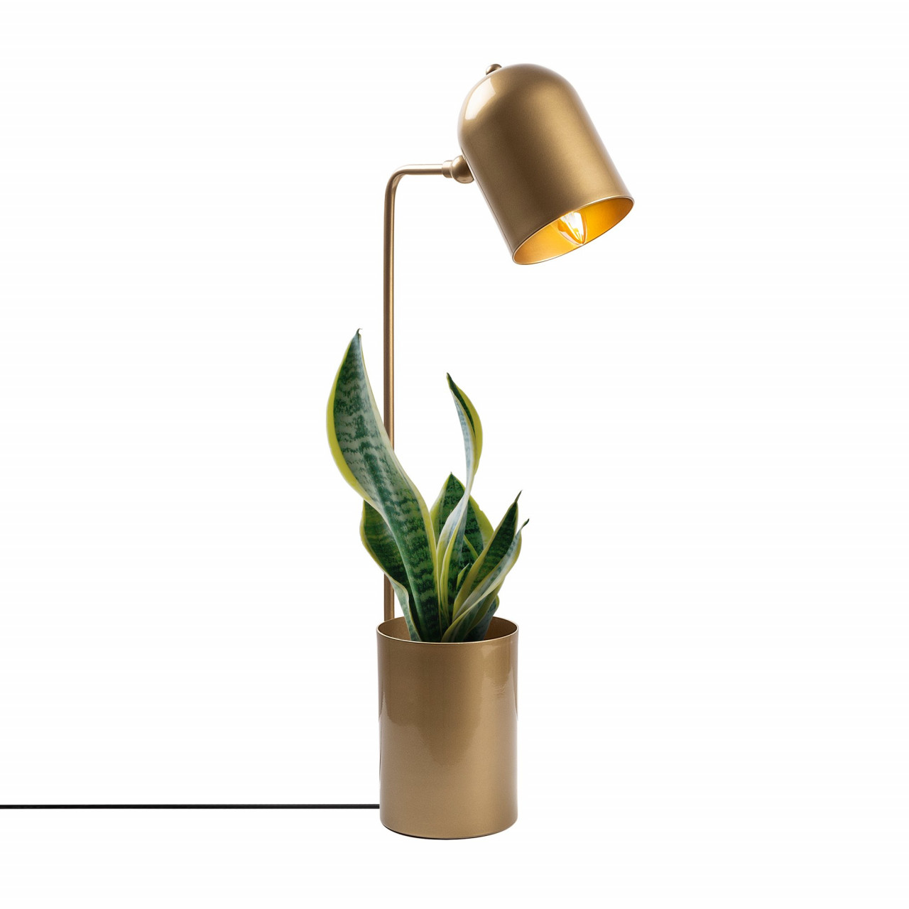 Poze Veioza Pot - 11490