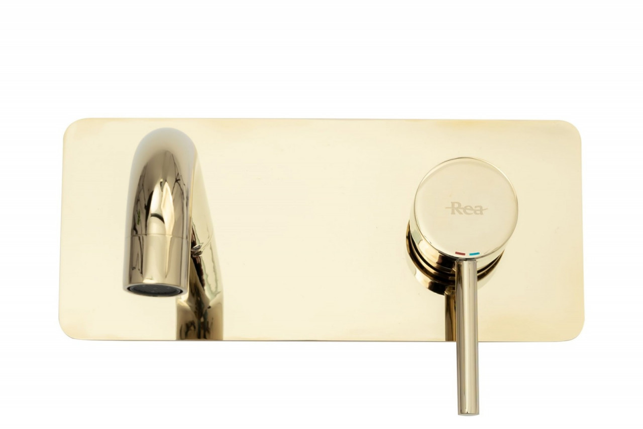 Poze Baterie Viva incastrata gold
