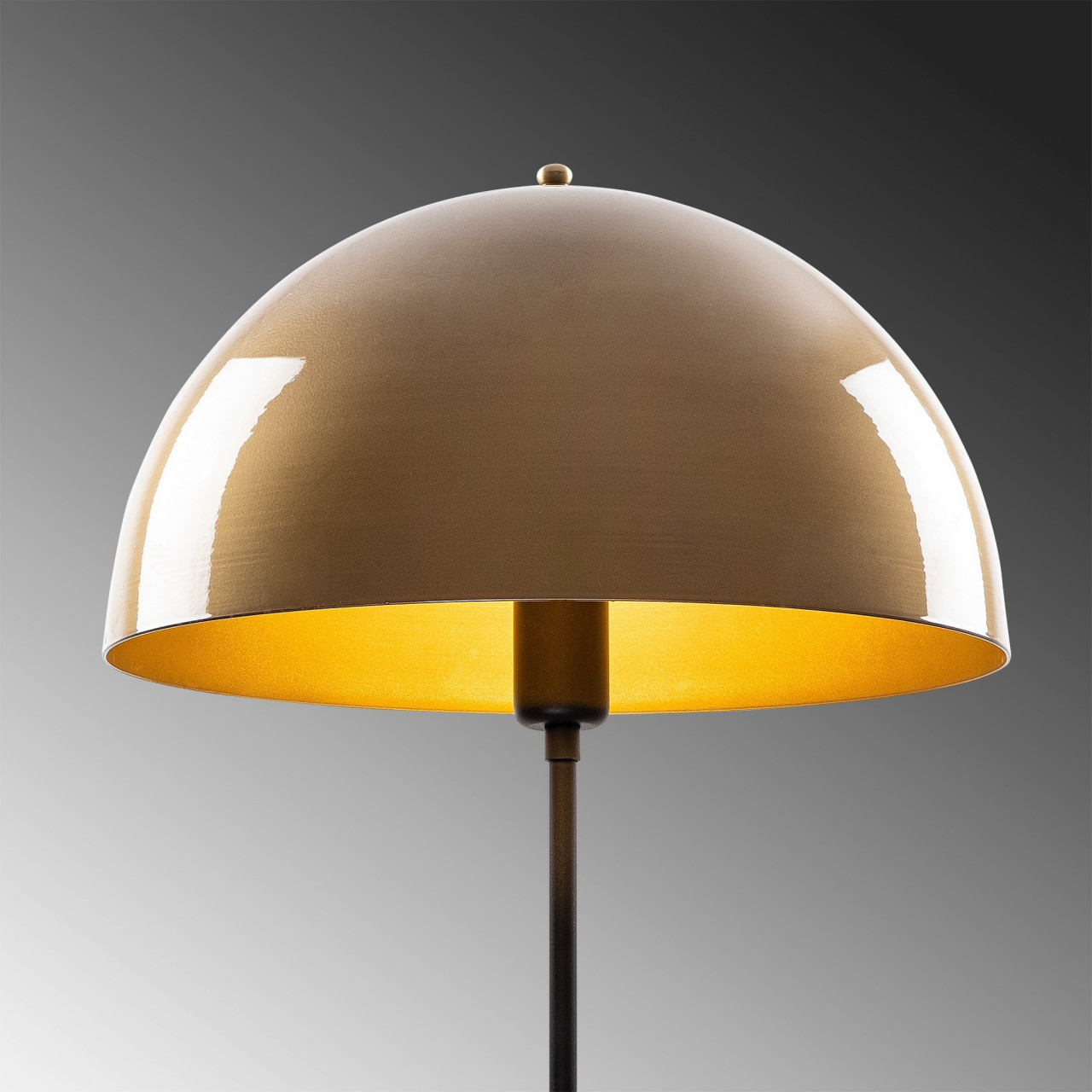 Poze Lampadar Can - NT - 113