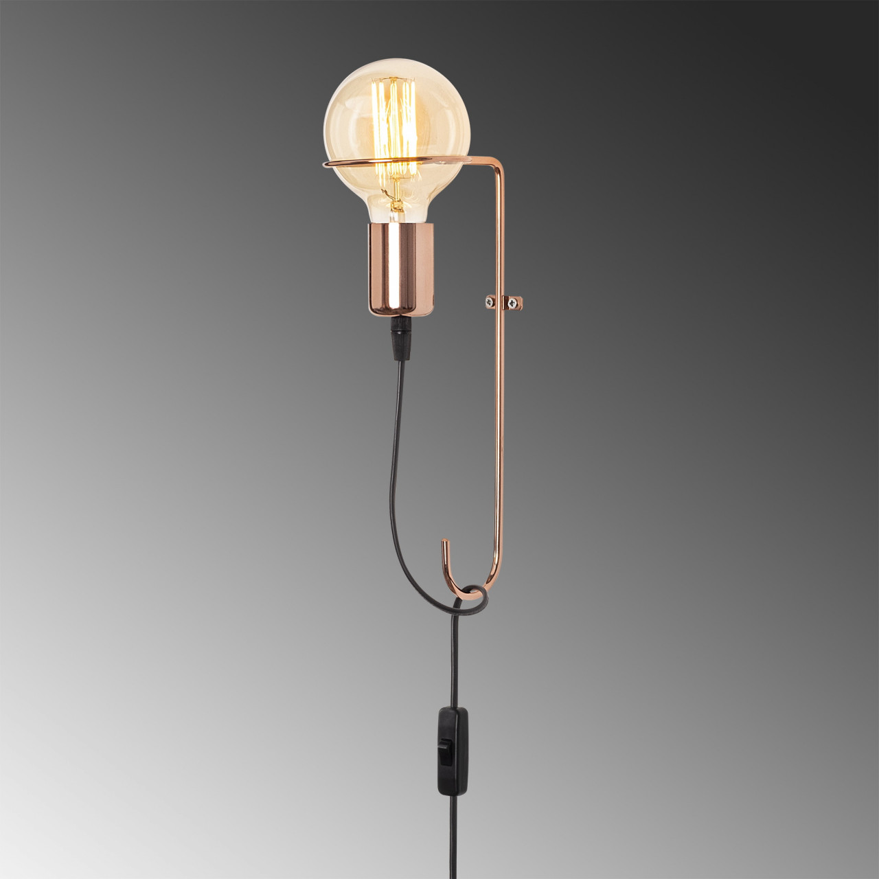 Poze Lampadar Pota - 3661
