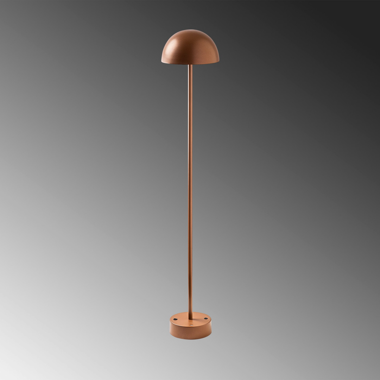 Poze Lampadar Sept - 13377