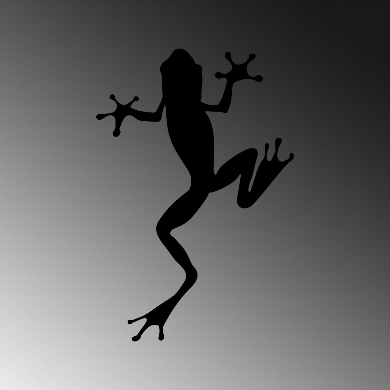 Poze Accesoriu decorativ de perete metalic Frog - 296