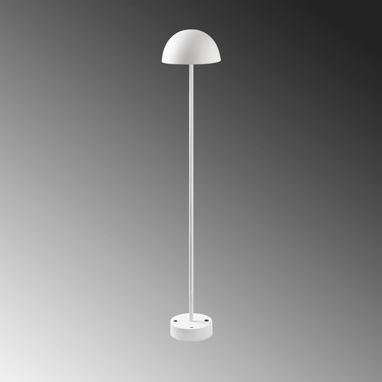 Poze Lampadar Sept - 13378