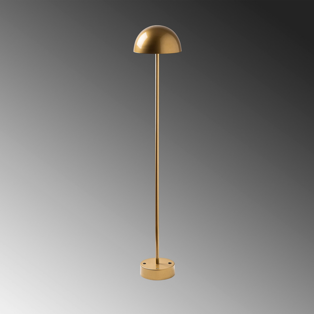 Poze Lampadar Sept - 13379