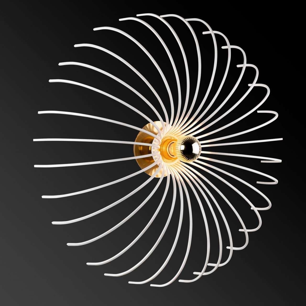 Poze Aplica Aspendos - N-644