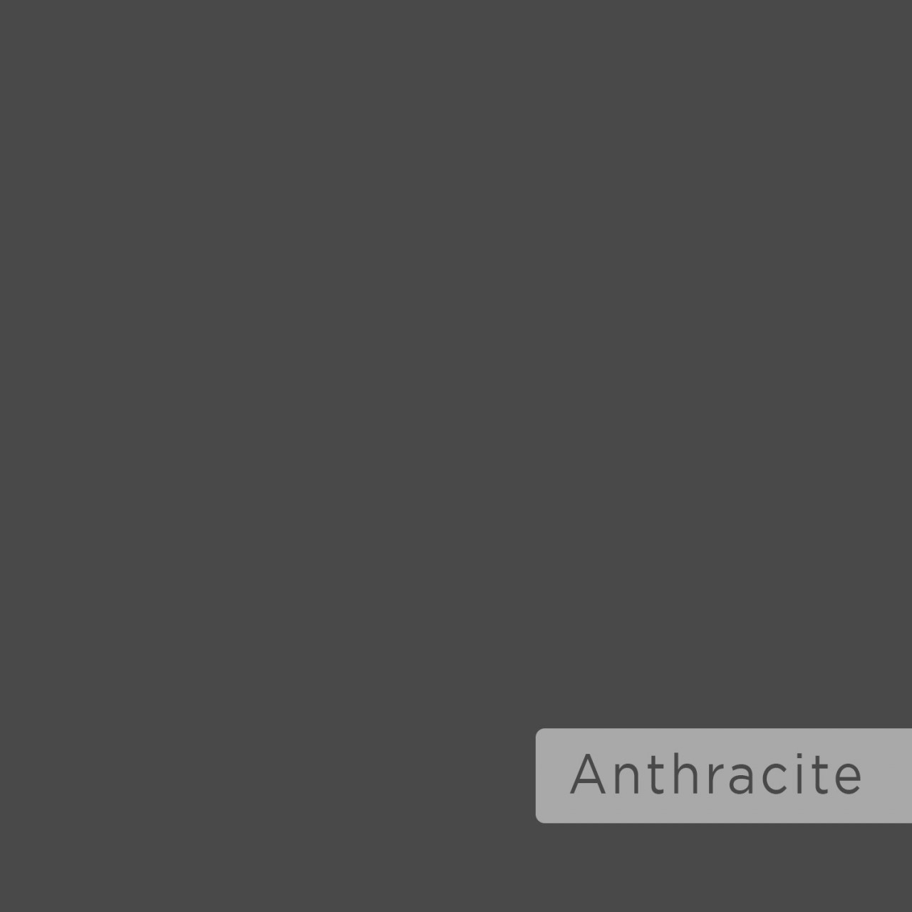 Poze Raft de perete Leo antracit