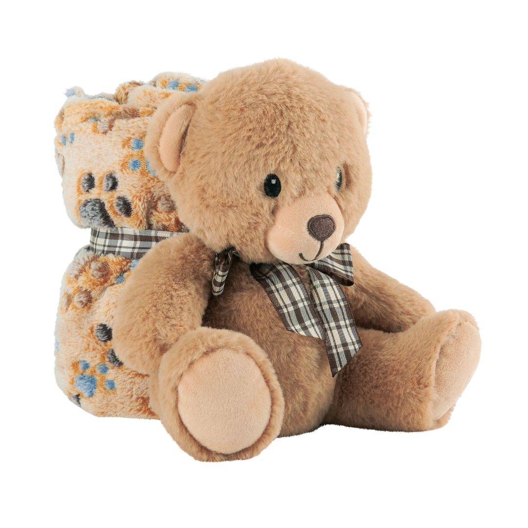 Set păturică și ursuleț pluș 22cm