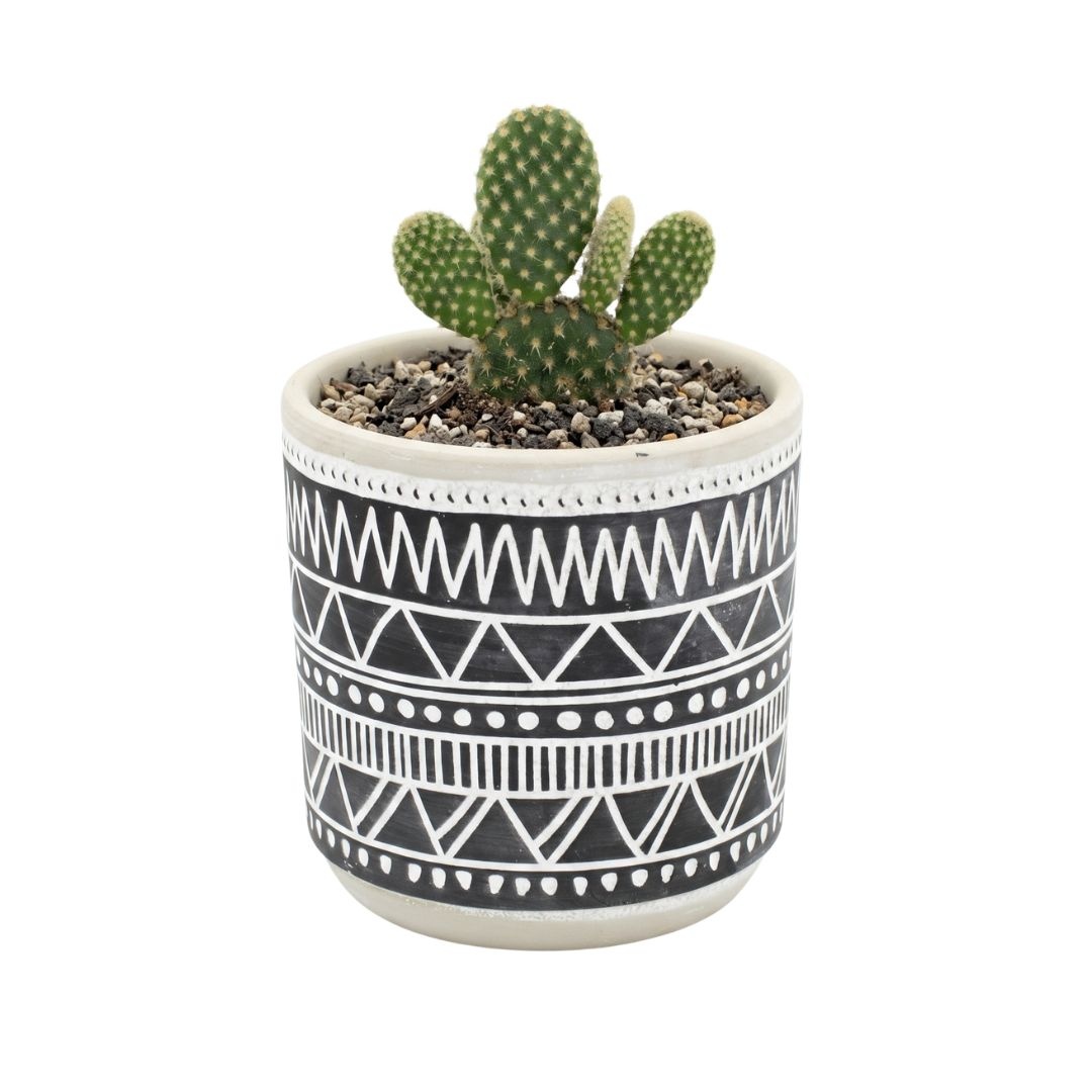 Ghiveci ceramică 9x9 cm model linii simetrii